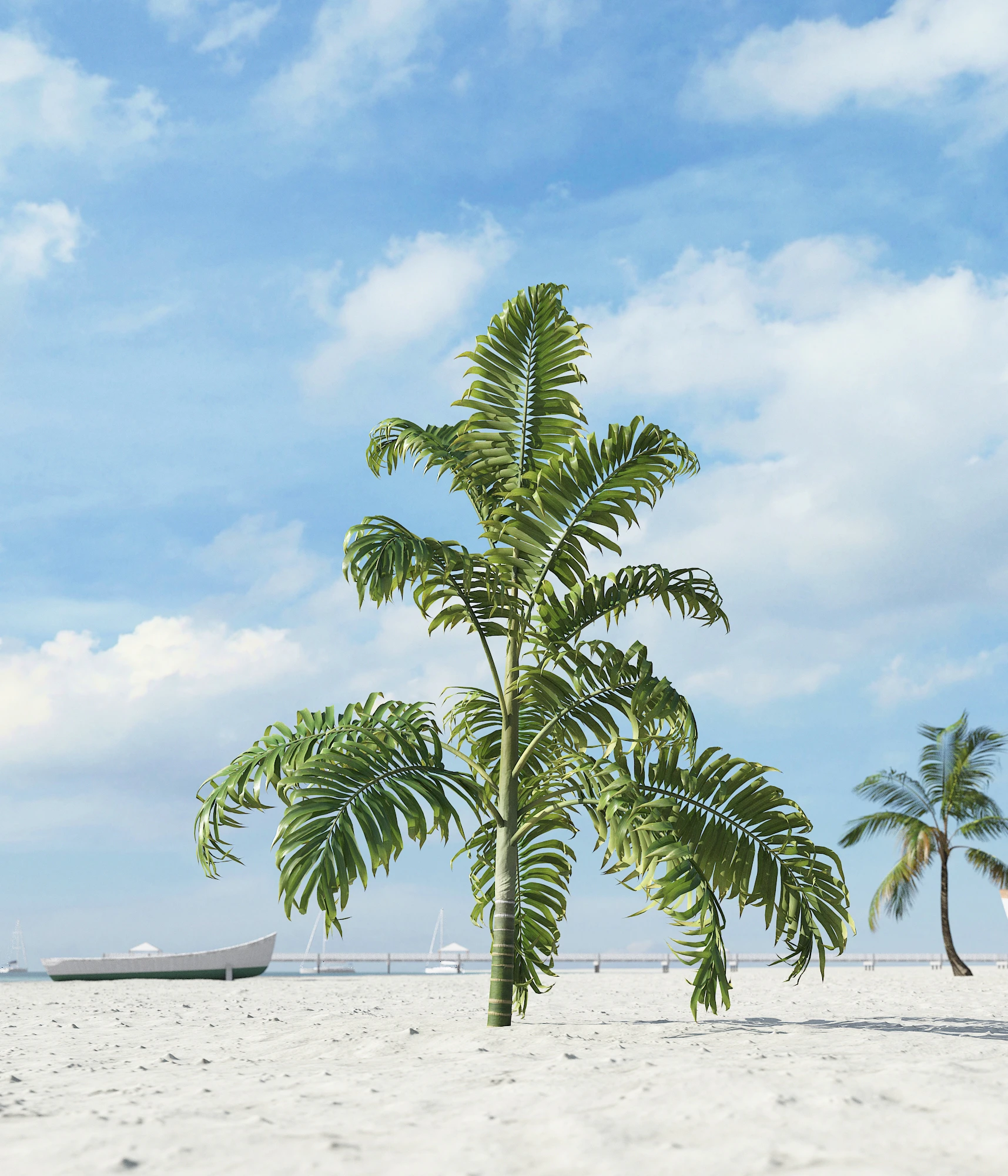 palm trees 033 — Descargar