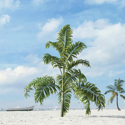 palm trees 033 — Descargar