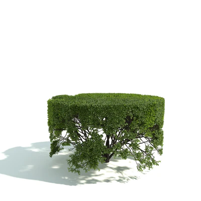 hedges 026 — Скачать