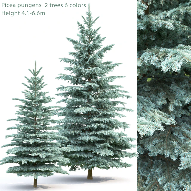 Spruce — Скачать