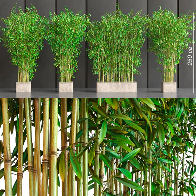 potted bamboo — Ver 1