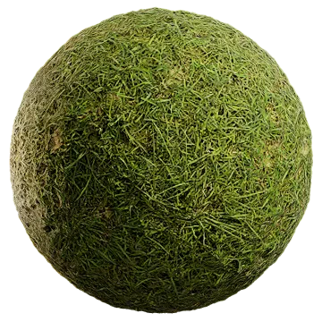 wild grass 063 — Descargar