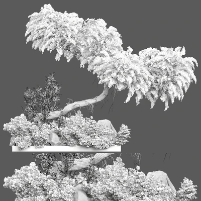 Outdoor Plant 180 — Ver 4