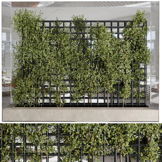 Plants Set Partition In Behind Glass - Ivy Garden Wall Decor Set 116 — Download