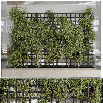 Plants Set Partition In Behind Glass - Ivy Garden Wall Decor Set 116 — View 7