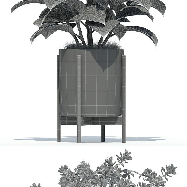 Plants collection 72 Modernica pots — Скачать