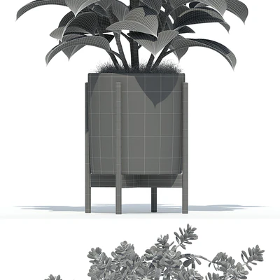Plants collection 72 Modernica pots — Вид 3
