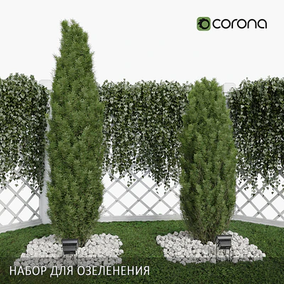 Набор для озеленения — Вид 1