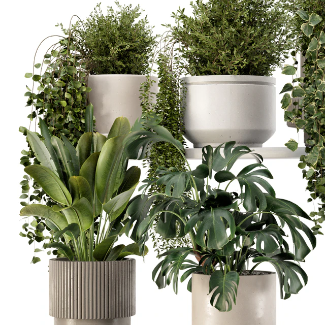 Indoor Hanging Plants in rusty Concrete Pot - Set 909 — Descargar