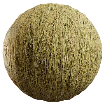 grass dried 051 — Descargar