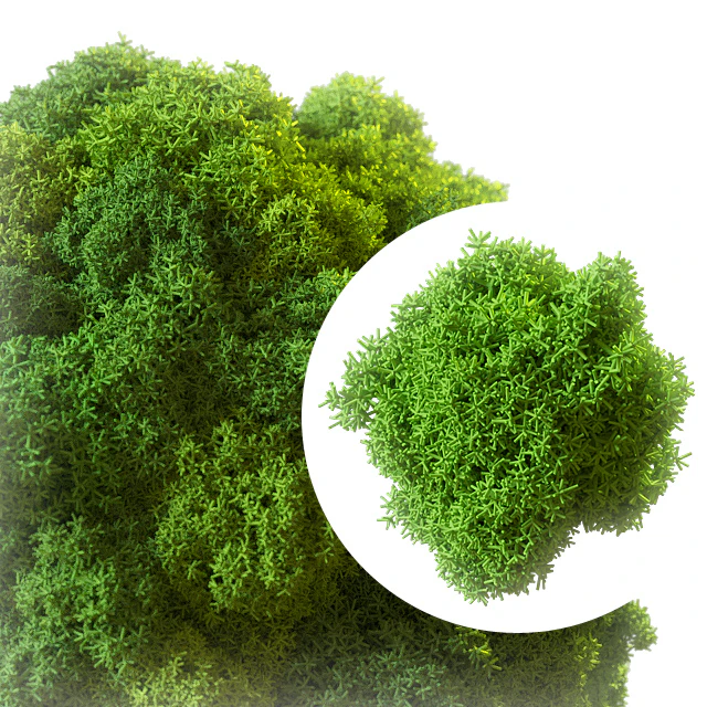 Stabilized moss — Descargar