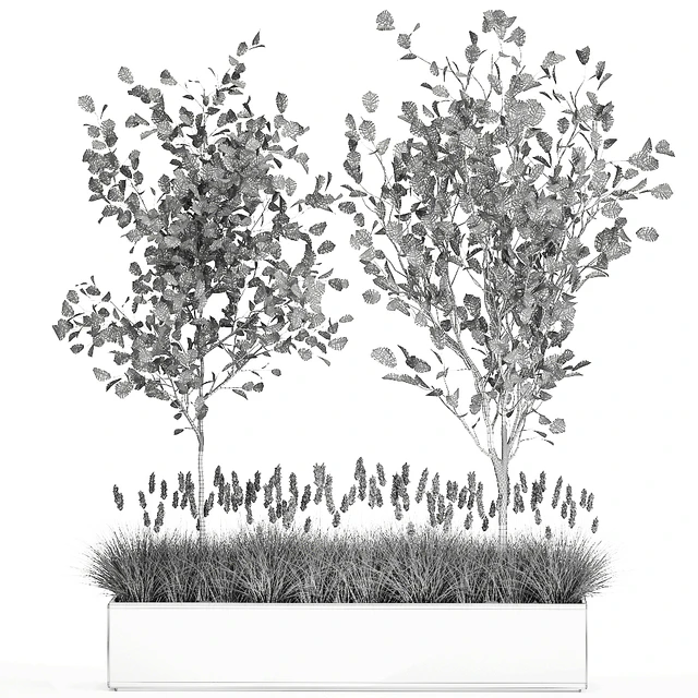 Collection of plants in a pot with hazel, linden and reed trees, bushes. 1066 — Descargar