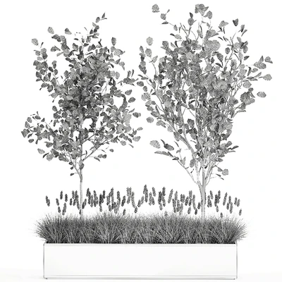Collection of plants in a pot with hazel, linden and reed trees, bushes. 1066 — Ver 7