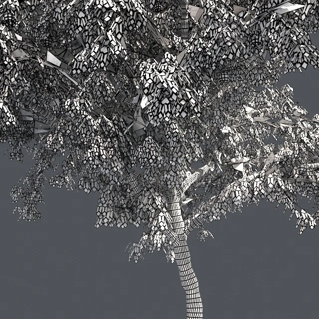 Peach tree with fruit — Descargar