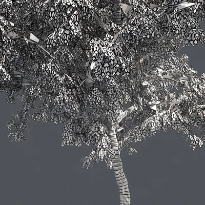 Peach tree with fruit — Ver 5