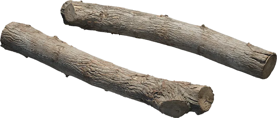 old wooden log 004 — Descargar