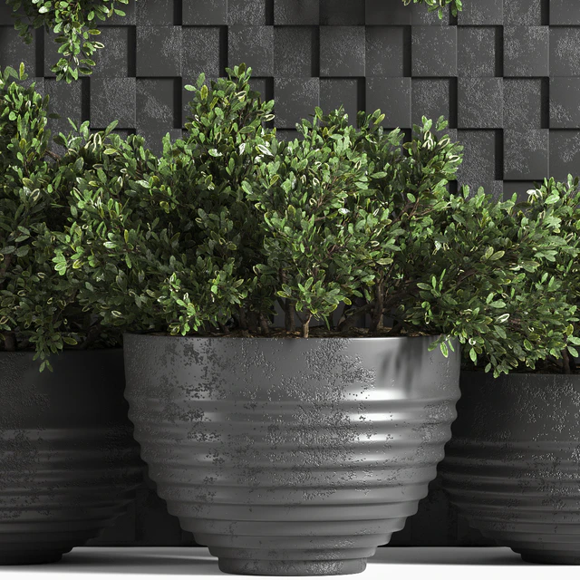 outdoor plant collection Box — Descargar