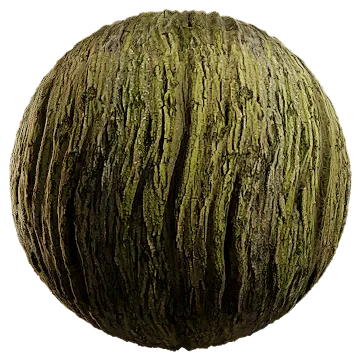hornbeam bark 002 — Скачать