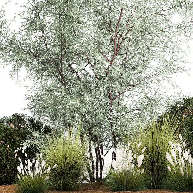 Альпийская горка с кустами олива, сосна, камыш, Ковыль трава, Лох серебристый. Набор растений 1189 — Скачать