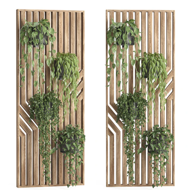 hanging plant-wooden wall — Скачать
