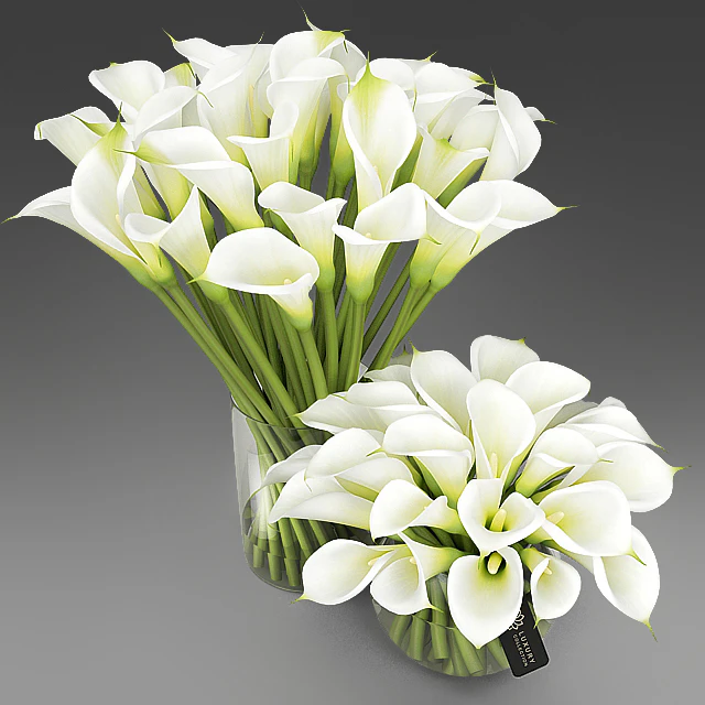 Callas 3 — Descargar