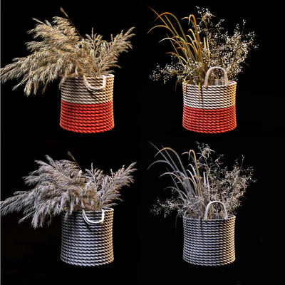 Field plants set — Вид 3