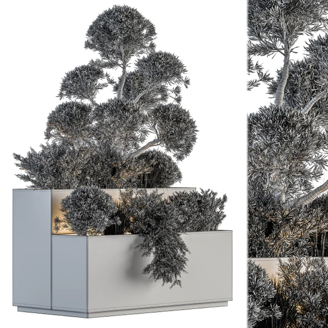 Outdoor Plant Set 214 - Plant Box — Скачать