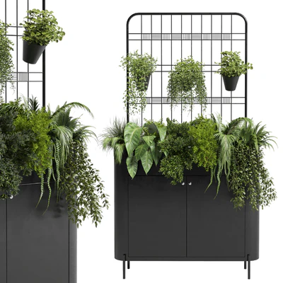 stand wall decor with shelves for the library and closet or showcase plants collection 175 — Ver 6