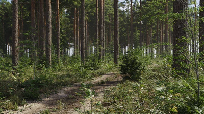 biome 01 — download