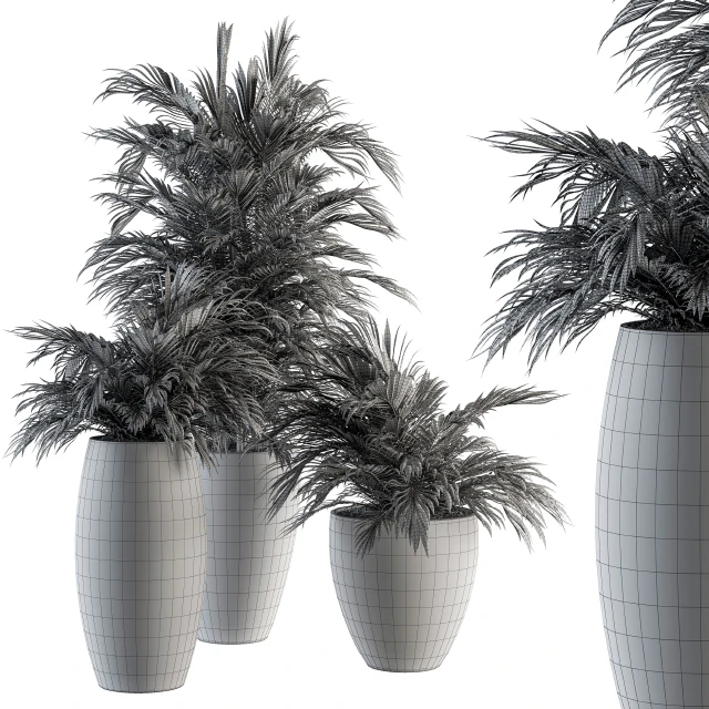 Indoor Plant Set 88 - Tropical — Descargar