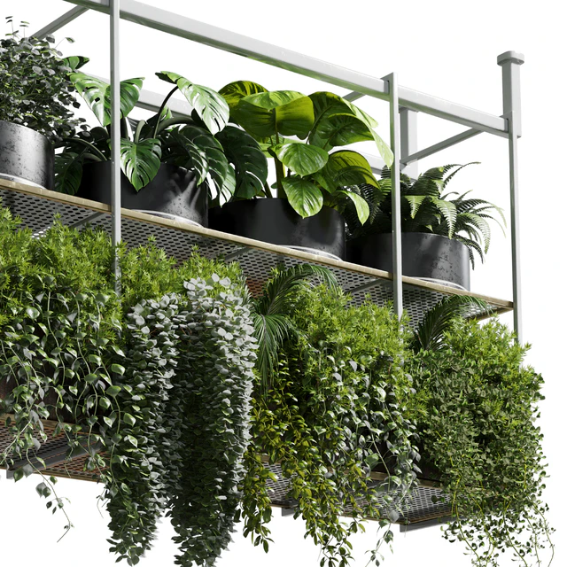 collection Indoor plants hanging pot-metal bax vase 11 — Descargar