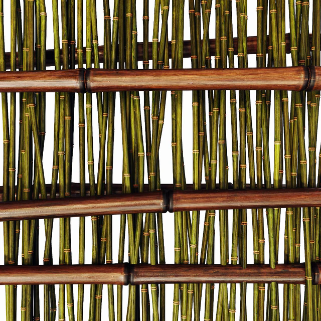 Branch bamboo long low n3 / Long bamboo branches No. 3 — Descargar