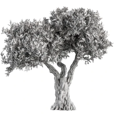 Tree Olive - Set 195 — Ver 5