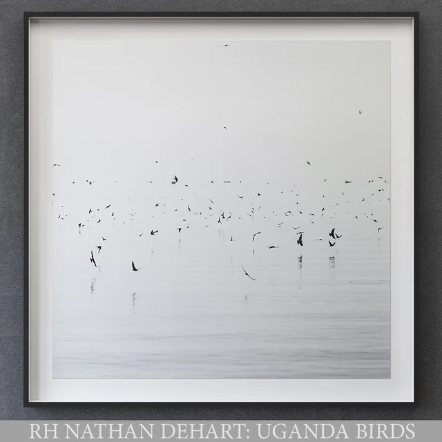 NATHAN DEHART UGANDA BIRDS — Descargar