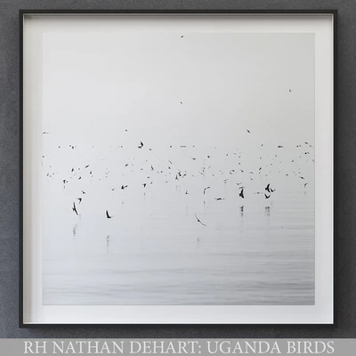 NATHAN DEHART UGANDA BIRDS — Ver 3