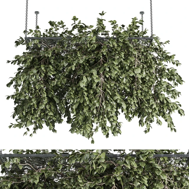 Hanging plants - outdoor plant set 171 — Скачать