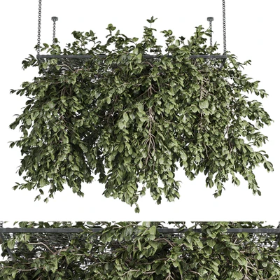 Hanging plants - outdoor plant set 171 — Вид 5