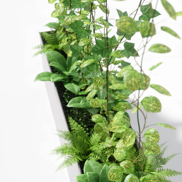 partition plant — Скачать