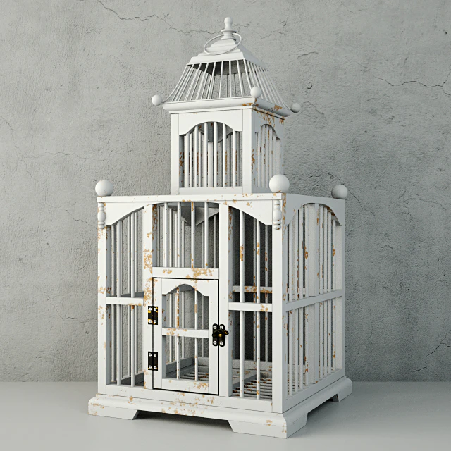 White Decorative Cage / ZARA HOME — Скачать