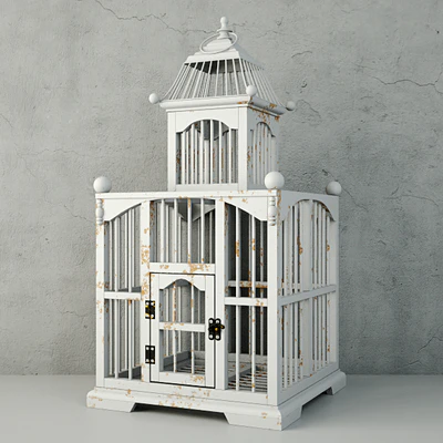 White Decorative Cage / ZARA HOME — Скачать