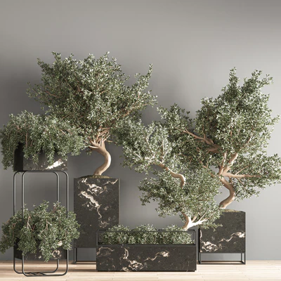indoor plant set 39 — Ver 5