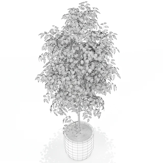 Plants collection 151 — Скачать