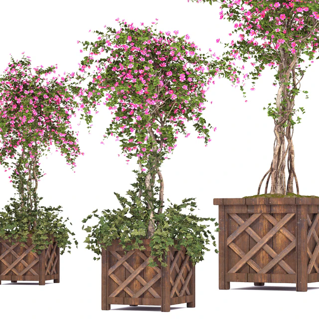 spring outdoor plants 03 — Скачать