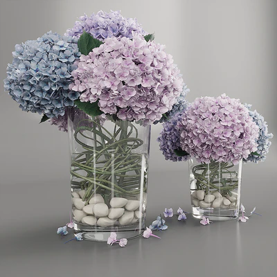 Hydrangea purple blue — View 1