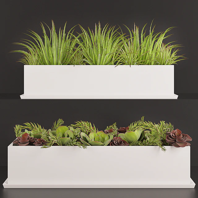 Contemporary houseplants — Скачать