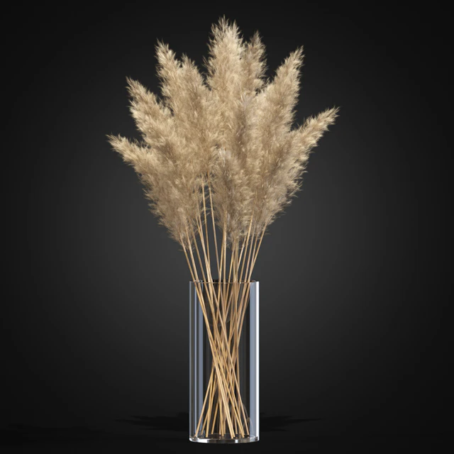 Decorative Pampas — Descargar