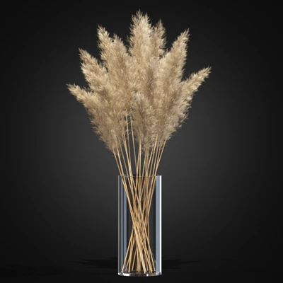 Decorative Pampas — Ver 3
