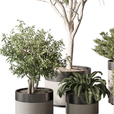 indoor Plant Set 439 (Corona) — Ver 4
