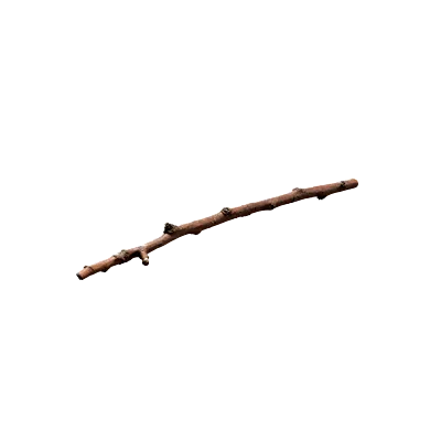 tree debris 010 — Descargar