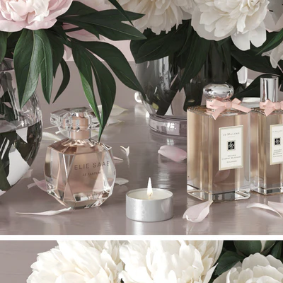 Peonies 2 — Ver 3